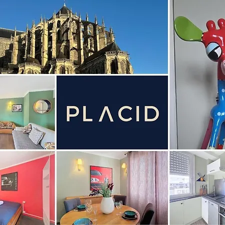 La Petite Girafe Apartamento Le Mans