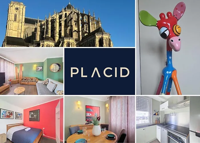 La Petite Girafe Apartamento Le Mans